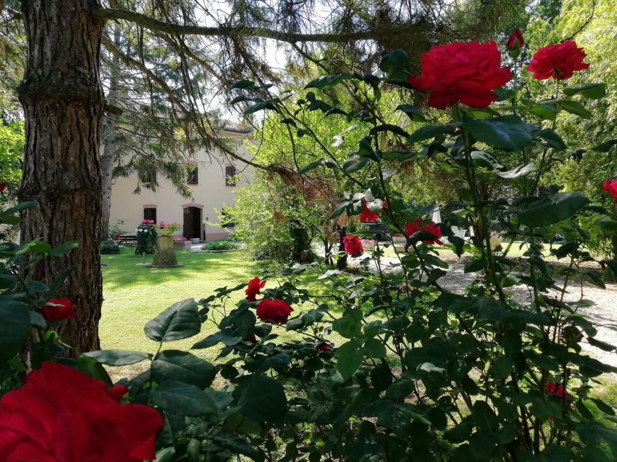 B&B Casa Manuela Мантуя Экстерьер фото